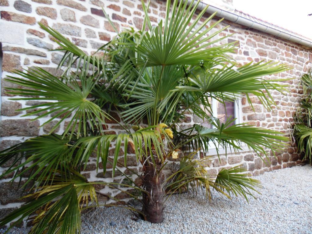 Gites Mont Saint Michel "Aucoeurdelabaie" Sains Exterior foto